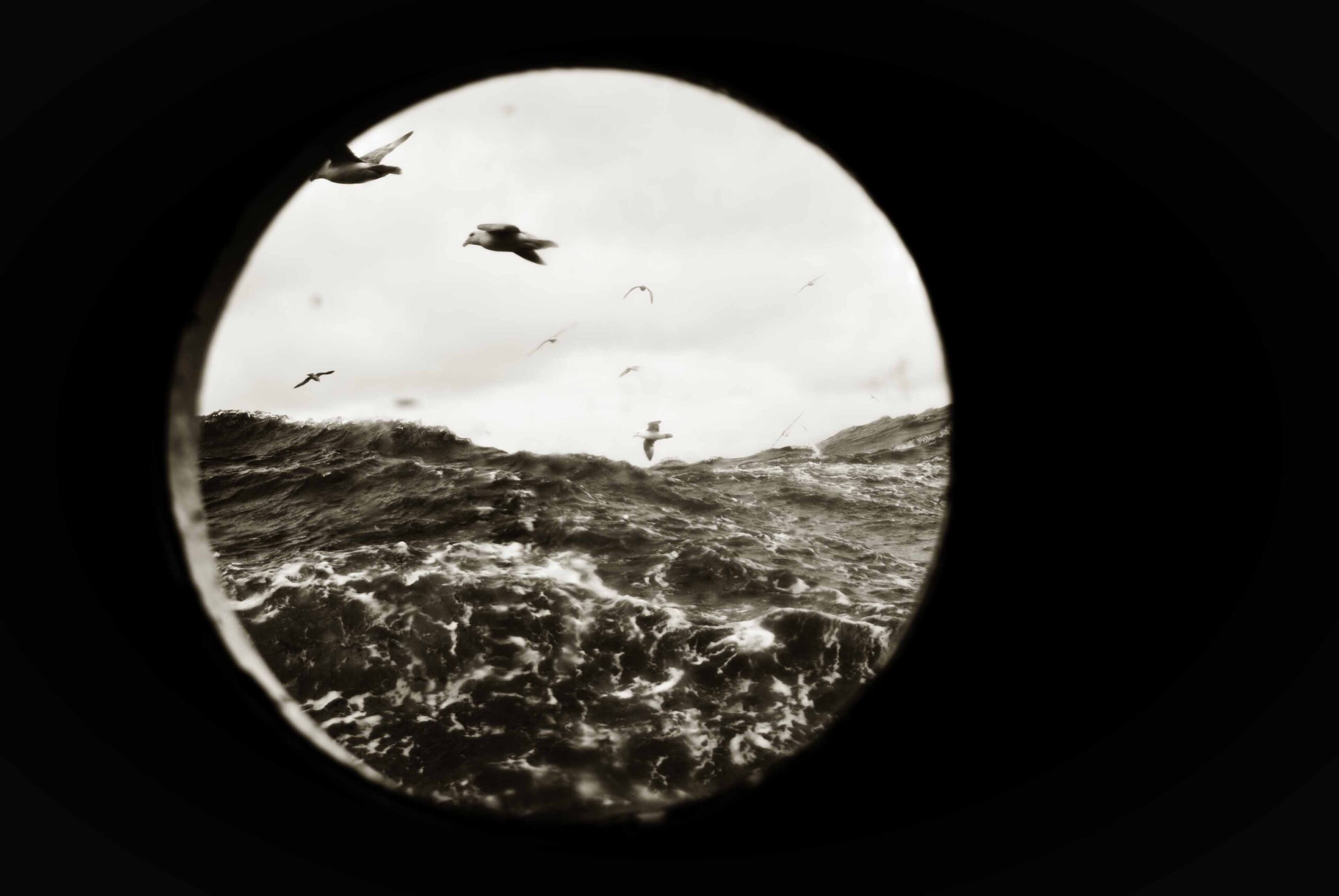 Bullauge, Nordsee, Wellen Eissturmvögel.